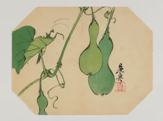 Print voor een uchiwa, kalebassen aan een wijnstok met een bidsprinkhaan, Meiji-periode, eind 19e eeuw